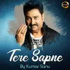  Tere Sapne - Kumar Sanu Poster