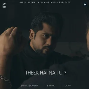  Theek Hai Na Tu ? Song Poster